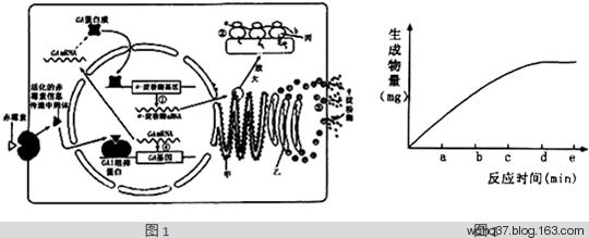 澳门最新网站游戏