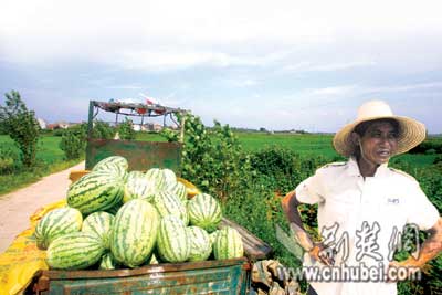 威尼斯电子游戏大厅